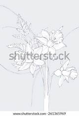 Pencil Drawing Hellebore Viridis Helleborus Daffodil Bouquet Colored Flower Shutterstock Illustration sketch template