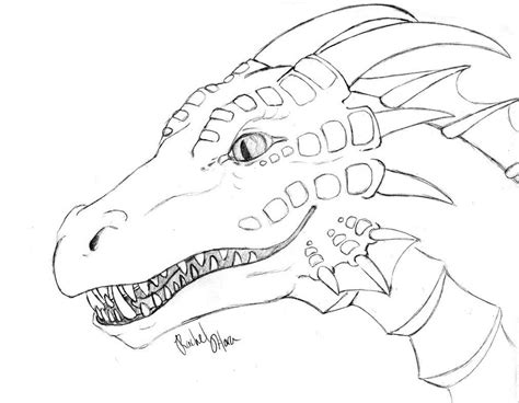 detailed coloring pages  adults detailed dragon colouring pages