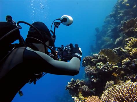 underwater cameras   essential reviews