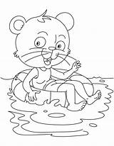Cat Swim Coloring Learns Kids sketch template