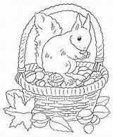 Herbst Automne Malvorlagen Ausmalen Ausmalbild Ecureuil Malvorlage Kostenlos Besten Zeichnung Coloriages Ausdrucken Hundertwasser Drachen Erwachsene Eichhörnchen Herbstbilder Fussball Steigen Tipss sketch template