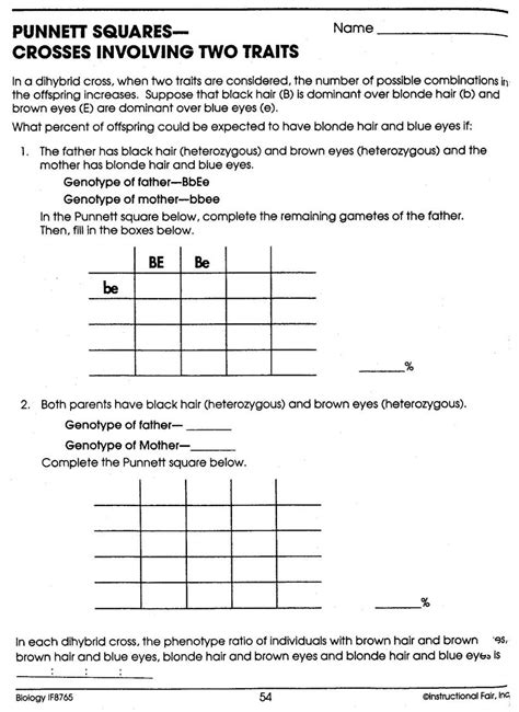 dihybrid punnett square worksheets