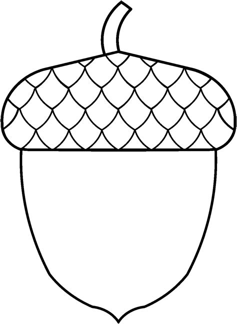 printable acorn template