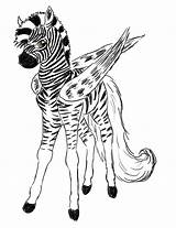 Zebra Baby Coloring Cute Pages Drawing Zebras Getdrawings sketch template