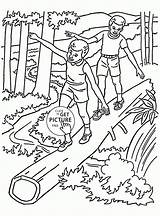 Coloring Forest Pages Printable Kids Popular sketch template