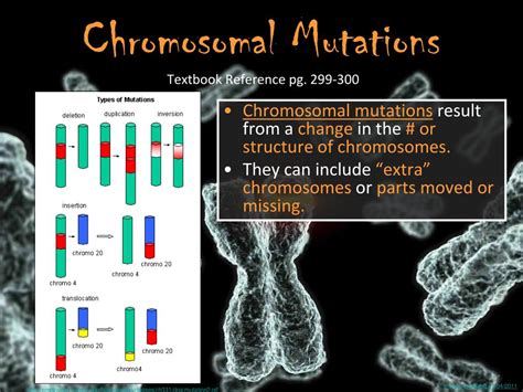 Ppt Unit 9 Mutations Powerpoint Presentation Free Download Id