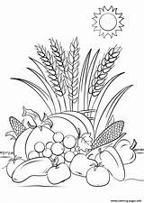 Coloring Harvest Autumn Fall Pages Printable Print sketch template