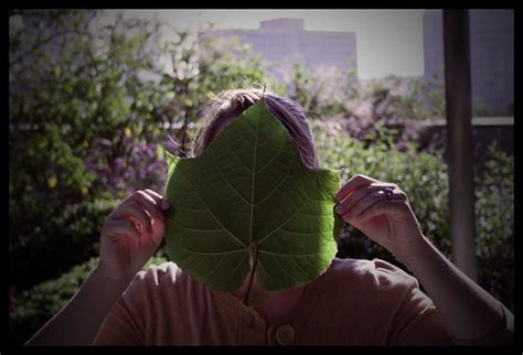 head sized leaf   good mask matt flickr