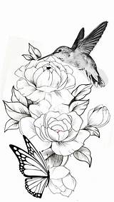 Hummingbird Drawings Birds Sketches Mariposas Tatto Flores Colibri Colibris sketch template
