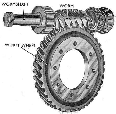 gear   types  gears mechstudy