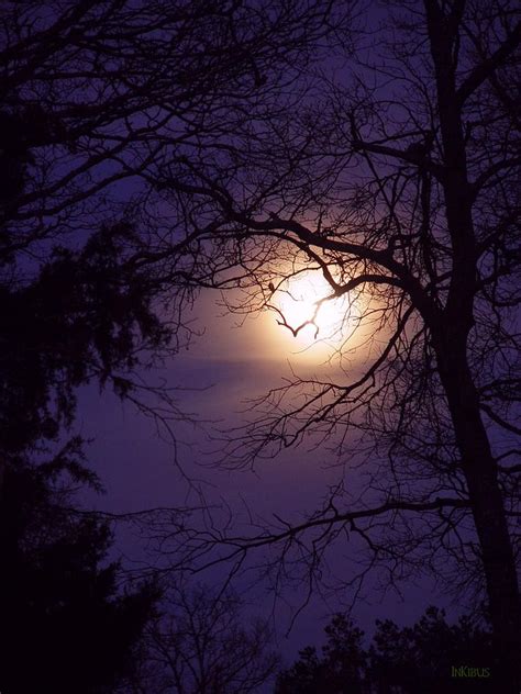 mummer s moon photograph by alana schmitt