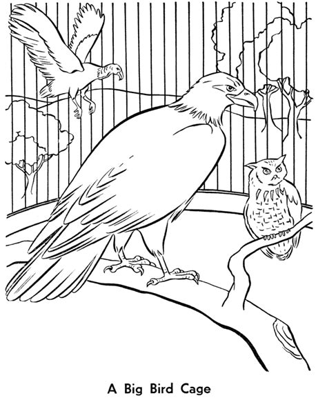 zoo birds coloring pages zoo aviary bird cage coloring page  kids