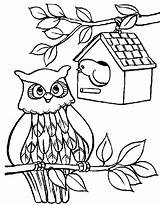 Coloring Pages House Bird Owl Birdhouse Color Print Template Place Sheet Getdrawings Tocolor Button Through sketch template