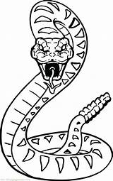 Snake Coloring Pages Snakes Easy Rainforest Rattlesnake Drawing Kids Anaconda Animal Cobra Diamondback Jungle Color Scary Printable Drawings Viper Animals sketch template