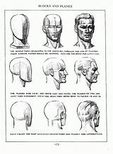 Loomis Kepala Menggambar Anatomy Basic Adez Cg Heads sketch template