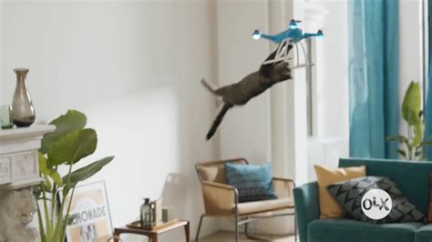olx gato colgando de drone oelexeable publicidad   argentina