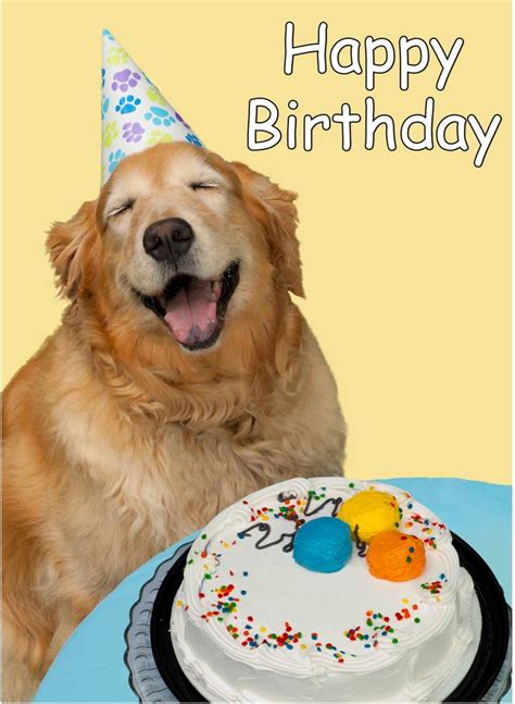 birthday wishes  puppies