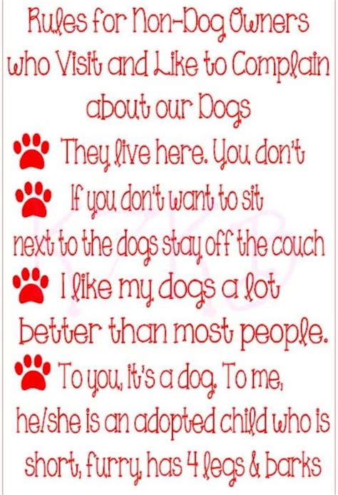 rules   dog owners  kbdirect  etsy