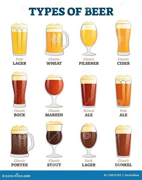 types  beer vector illustration alcoholic beverage menu collection