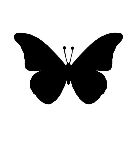 photo black butterfly black bug butterfly   jooinn