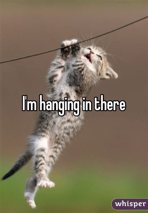 I M Hanging In There
