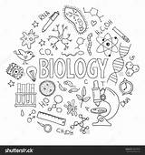 Biology Drawings Cover School Equipment Deckblatt Drawing Science Vector Hand Drawn Set Doodles Used Lessons Shutterstock Doodle Lesson Clipart Chemistry sketch template