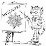 False Mathematica sketch template