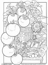 Coloring Garden Pages Printable Adult Adults Color Colouring Vegetable Sheets Book Books Dover Publications Kleuren Voor Volwassenen Colorful Doodle Welcome sketch template