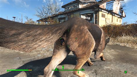 [rg] real anatomy page 6 fallout 4 adult mods loverslab