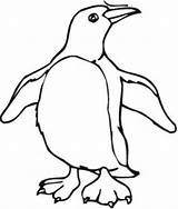 Coloring Pages Penguin Cartoon Kids Penguins Printable Color Cliparts Clipart Chinstrap Colour Getcolorings Print Clip Popular Crested Erect sketch template