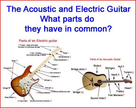 parts   guitar guitar diagrams