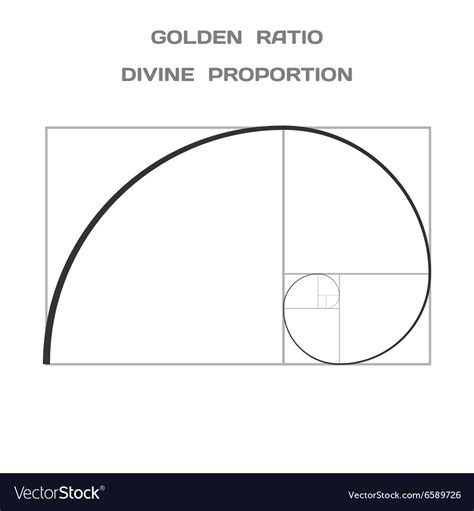 Golden Ratio Divine Proportion Ideal Section Vector Image