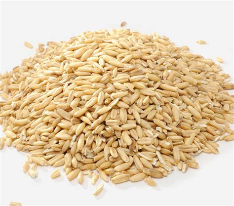 oatmeal  science   health benefits  oatmeal
