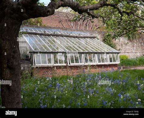 lean  greenhouse  res stock photography  images alamy