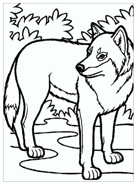 wolf child wolf kids coloring pages