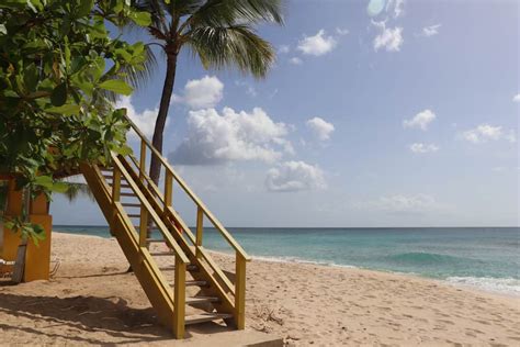 15 best beaches in barbados the crazy tourist