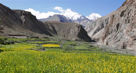 les incontournables de linde himalayenne  faire  voir atalante