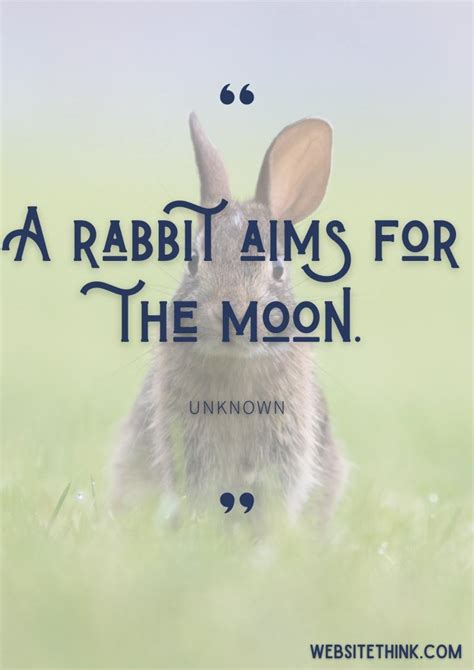 cute cuddly quotes  rabbits images