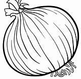 Verduras Onion Cebolla Onions Cebollas Pintar sketch template