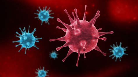 vaccine shows signs  protection  dozen  flu strains