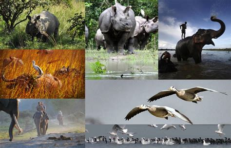 current affairs  hindu vocabs wildlife sanctuary  reserves
