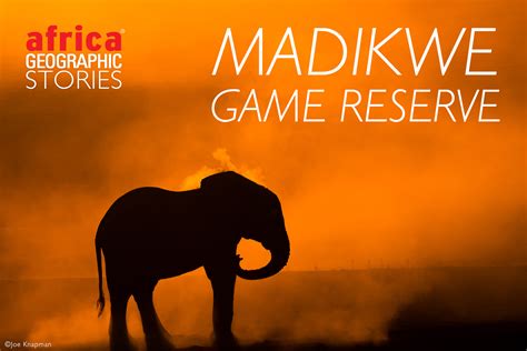 madikwe game reserve africa geographic