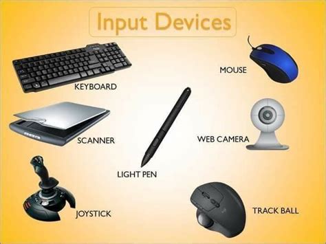 input devices input devices save computer knowledge