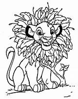 Coloring Pages Lion King Simba sketch template
