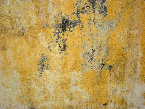 yellow wall texture  photo  freeimages