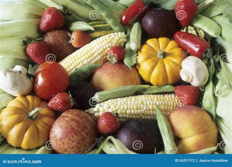 autumn harvest  fruits  vegetables stock photography image