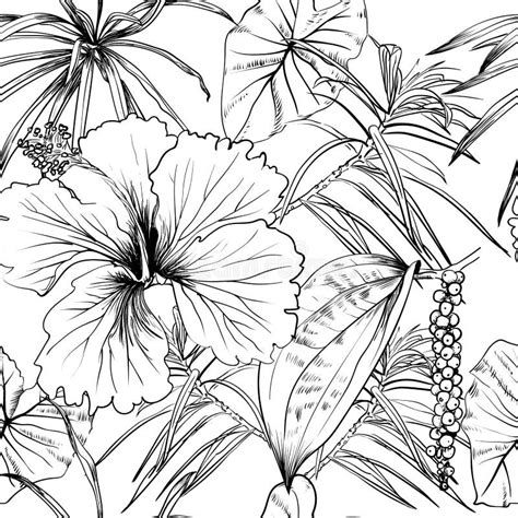 tropical exotic flowers  leaves seamless pattern coloring book