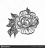 Rosas Imagenes Rysunek Noir Flores Czarno Obraz Tatuaje Oddziału Tatuaż Biały Sylwetka Róża sketch template
