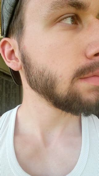 year  attempt beard board