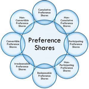 preference shares definition  types business jargons